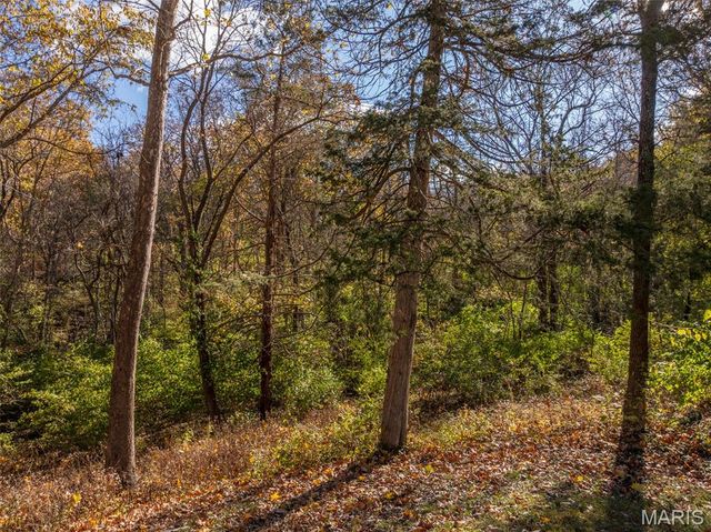 2273 Holtgrewe Road, Washington, MO 63090