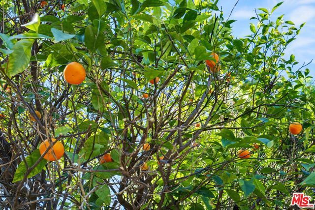 2801 Coolidge Avenue, Los Angeles, CA 90064