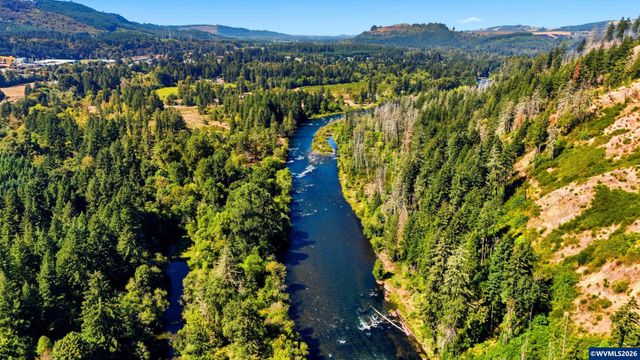 45890 River Loop Rd, Lyons, OR 97358
