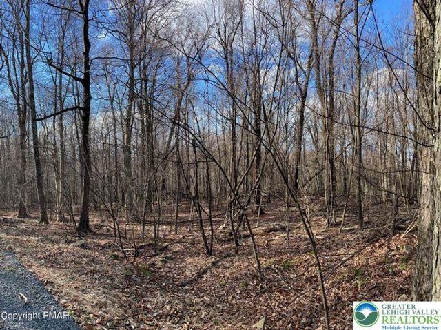 33 Cheyenne Trail, Lehigh Twp, PA 18424