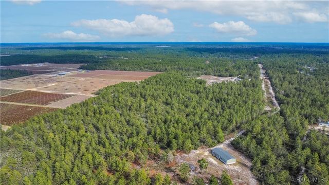 4521 W Gallagher Street, Citrus Springs, FL 34433