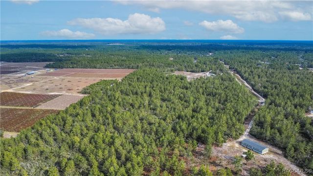 4521 W Gallagher Street, Citrus Springs, FL 34433
