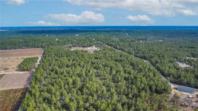 4521 W Gallagher Street, Citrus Springs, FL 34433