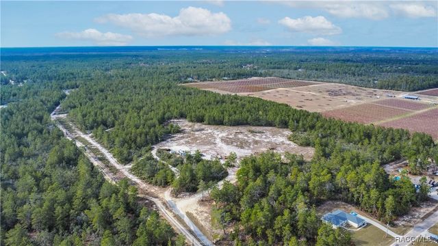 4521 W Gallagher Street, Citrus Springs, FL 34433