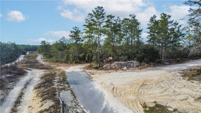 4521 W Gallagher Street, Citrus Springs, FL 34433