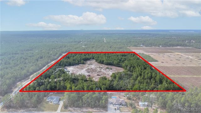 4521 W Gallagher Street, Citrus Springs, FL 34433