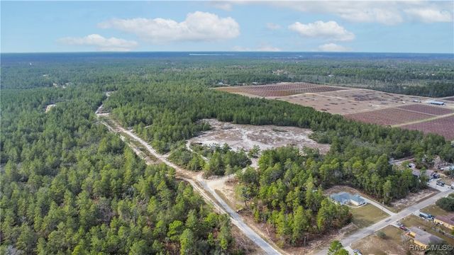 4521 W Gallagher Street, Citrus Springs, FL 34433