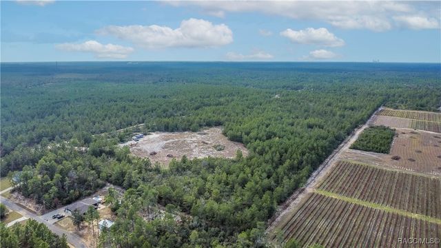 4521 W Gallagher Street, Citrus Springs, FL 34433