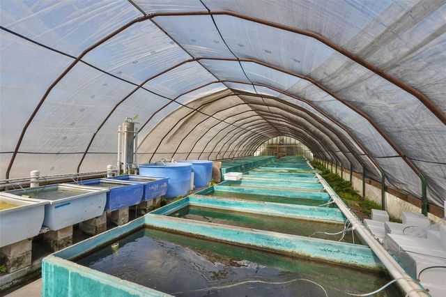 20112 HOBBS ROAD, Wimauma, FL 33598