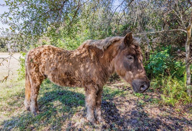 20112 HOBBS ROAD, Wimauma, FL 33598