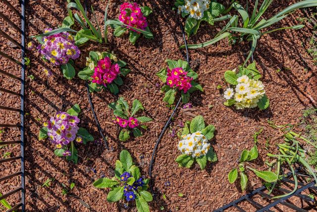 1452 La Crosse Drive, Sunnyvale, CA 94087