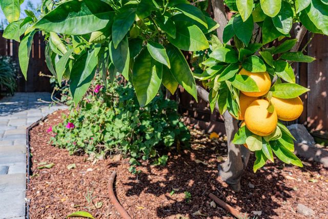 1452 La Crosse Drive, Sunnyvale, CA 94087