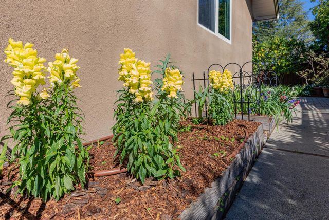 1452 La Crosse Drive, Sunnyvale, CA 94087