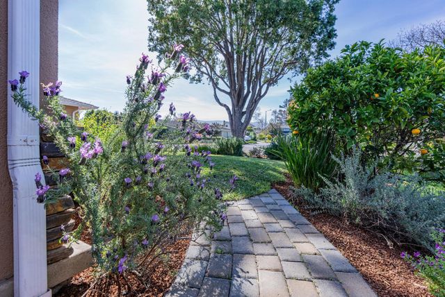 1452 La Crosse Drive, Sunnyvale, CA 94087