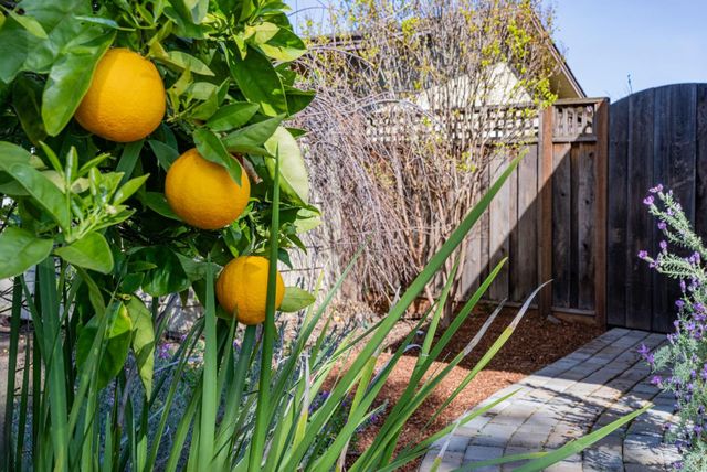 1452 La Crosse Drive, Sunnyvale, CA 94087