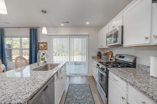 225 Flatsedge Court, Lexington, SC 29072