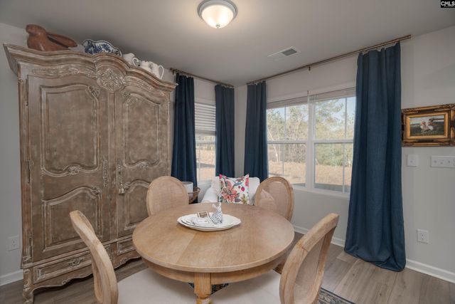 225 Flatsedge Court, Lexington, SC 29072