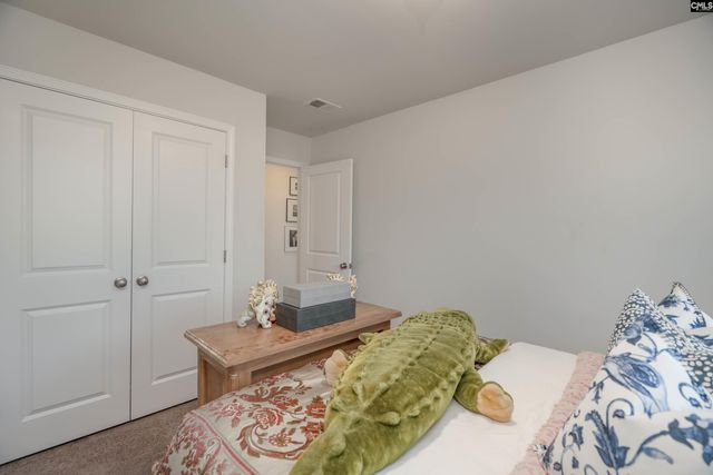 225 Flatsedge Court, Lexington, SC 29072