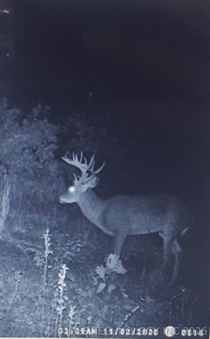 38083 W 28th Place S, Mannford, OK 74044