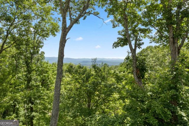 62 Bear Cub Ridge, Big Canoe, GA 30143