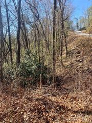 Lots 62&63 Oak Laurel Road 62,63, Brevard, NC 28712