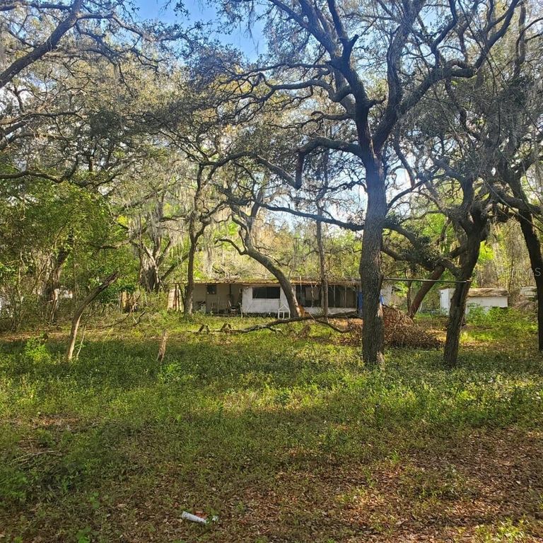 17461 SE 10TH STREET, Silver Springs, FL 34488