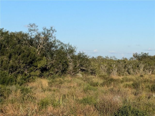 0 0, San Diego, TX 78384