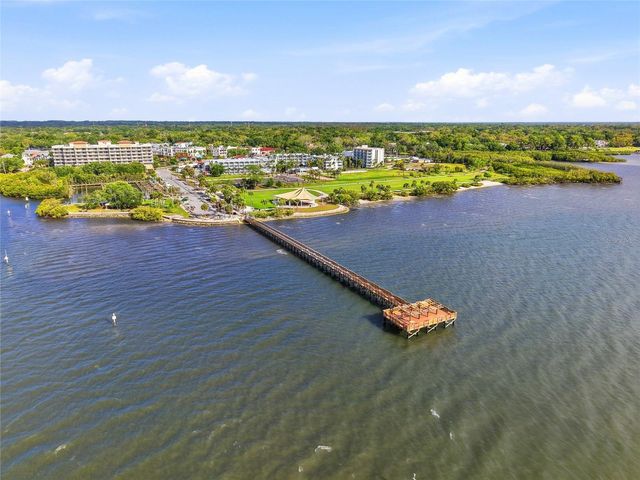 2376 RAJEL AVENUE, Safety Harbor, FL 34695