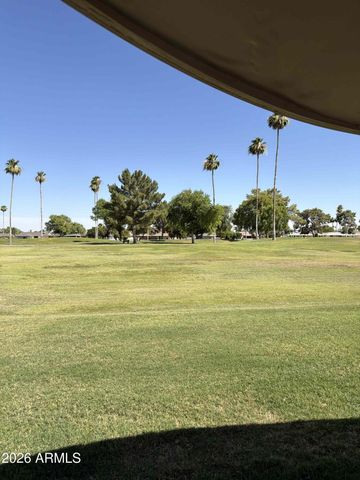 10442 W TROPICANA Circle, Sun City, AZ 85351