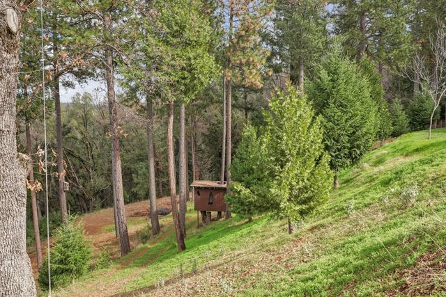 20400 Ponderosa Way, Fiddletown, CA 95629