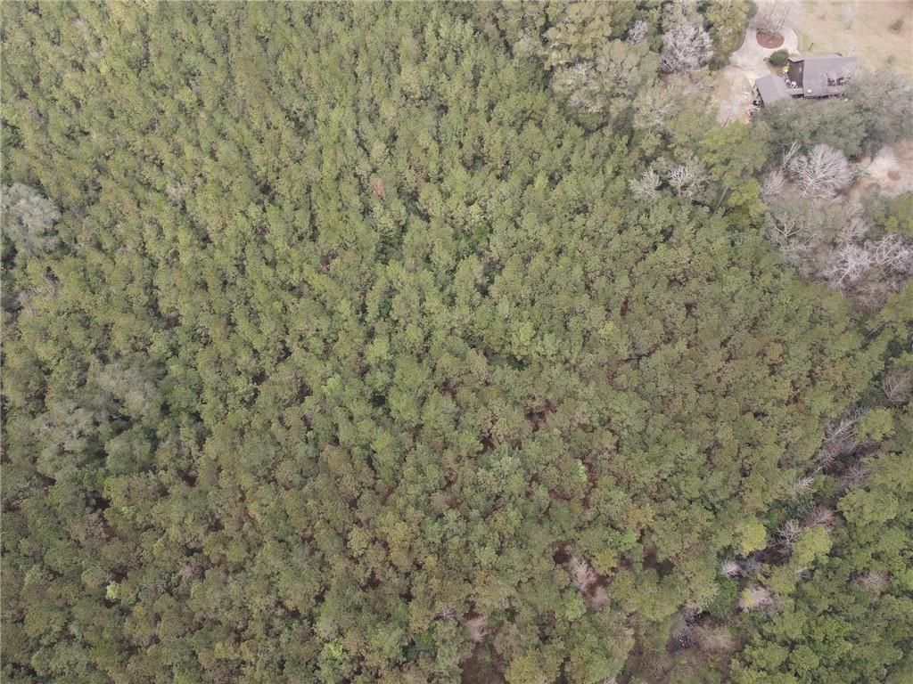 0 Baldwin Street, Satsuma, AL 36572 — photo 2