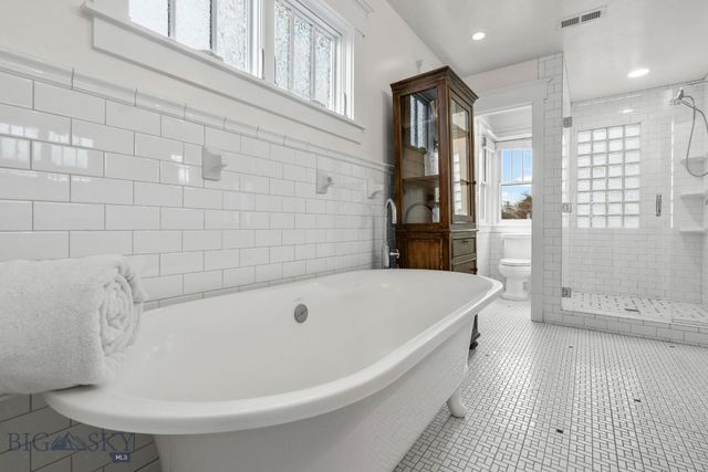 810 S Willson Avenue, Bozeman, MT 59715