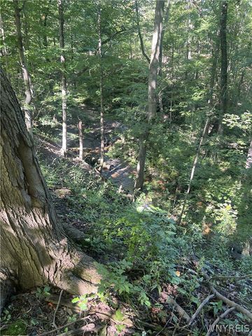 9011 Mountain Road, Royalton, NY 14067