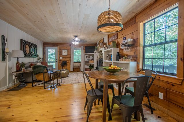 392 Cascades Lane, Blue Ridge, GA 30513