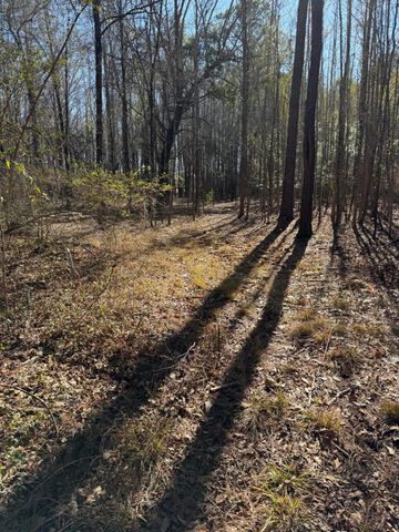 3075 Wilfred Drive, Rembert, SC 29128