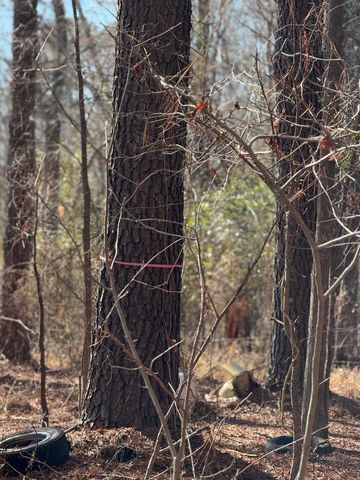 3075 Wilfred Drive, Rembert, SC 29128