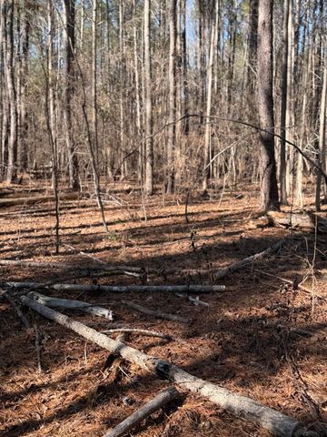 3075 Wilfred Drive, Rembert, SC 29128