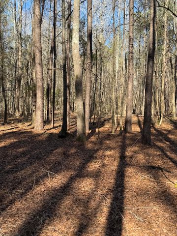 3075 Wilfred Drive, Rembert, SC 29128