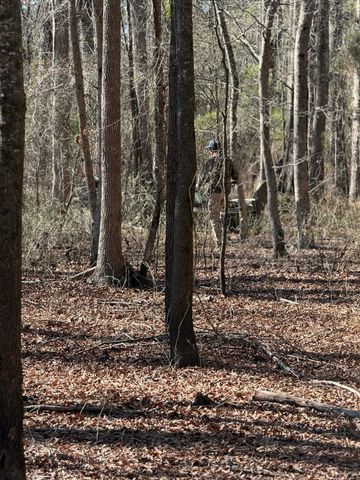 3075 Wilfred Drive, Rembert, SC 29128