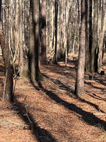 3075 Wilfred Drive, Rembert, SC 29128