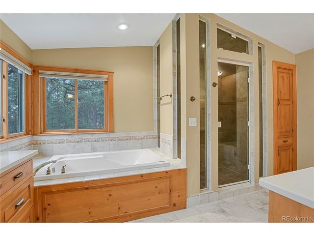 17520 Shiloh Pines Dr, Monument, CO 80132