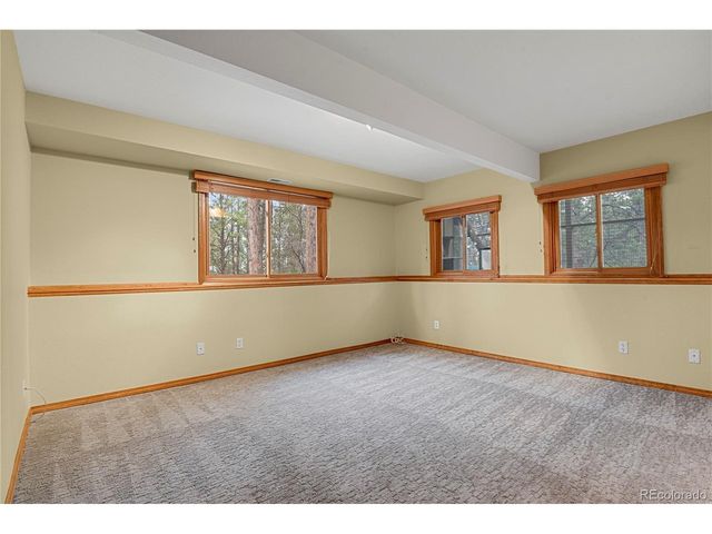 17520 Shiloh Pines Dr, Monument, CO 80132
