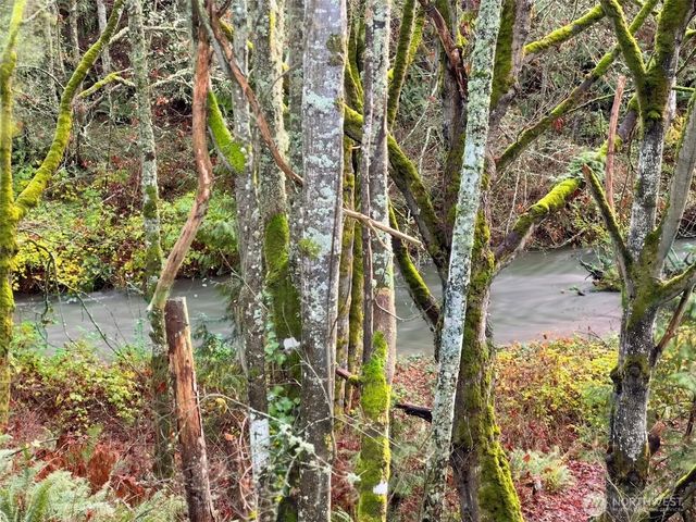 242 Agnew Parkway, Port Angeles, WA 98362