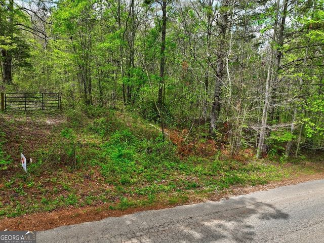 LOT 18 Shady Farms Road, Monticello, GA 31064