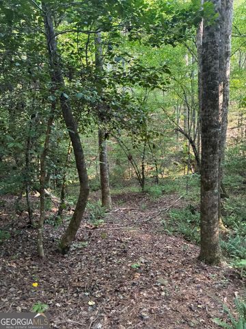 156 Whitfield Lane, Ball Ground, GA 30107