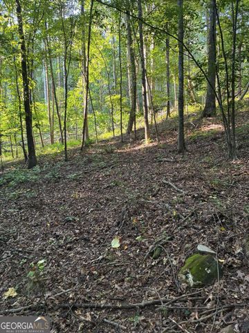 156 Whitfield Lane, Ball Ground, GA 30107