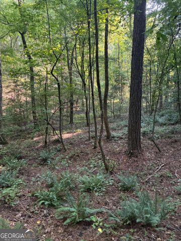 156 Whitfield Lane, Ball Ground, GA 30107