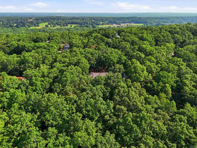 64 Hays Hill, Conway, AR 72032