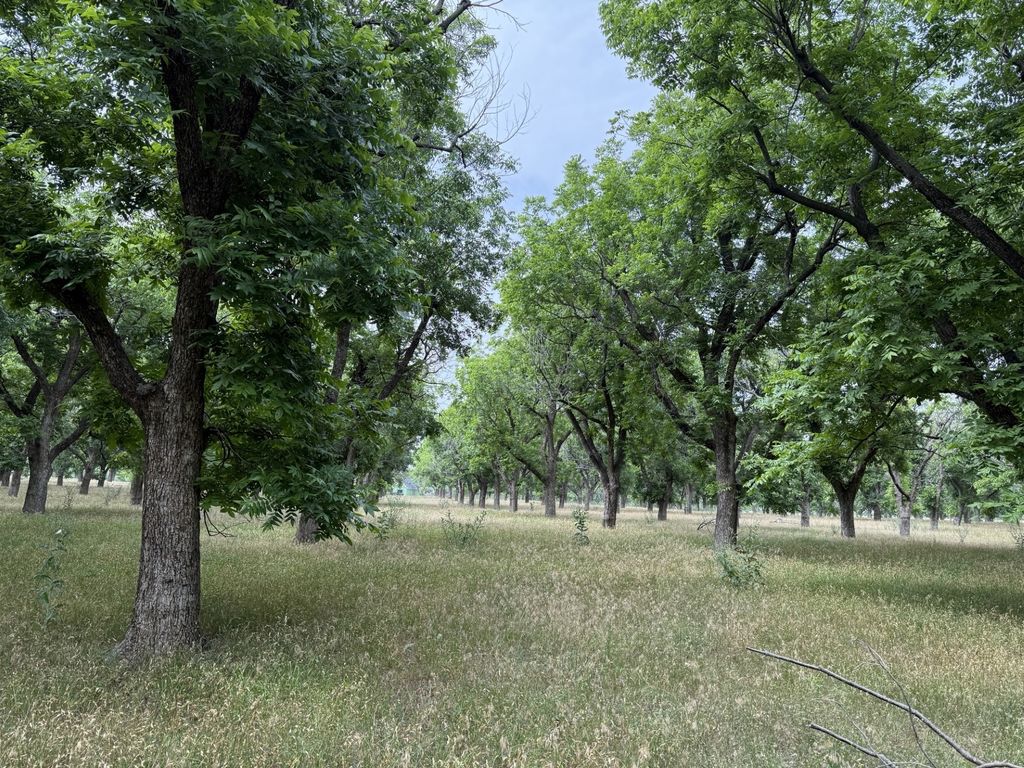 3024 E Landings N, Granbury, TX 76049
