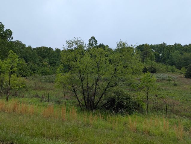 10970 McWhorter Road, London, KY 40741